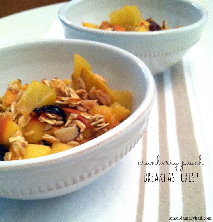 cranberry peach breakfast crisp header